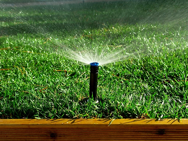 Watering Guidelines by Grass Type