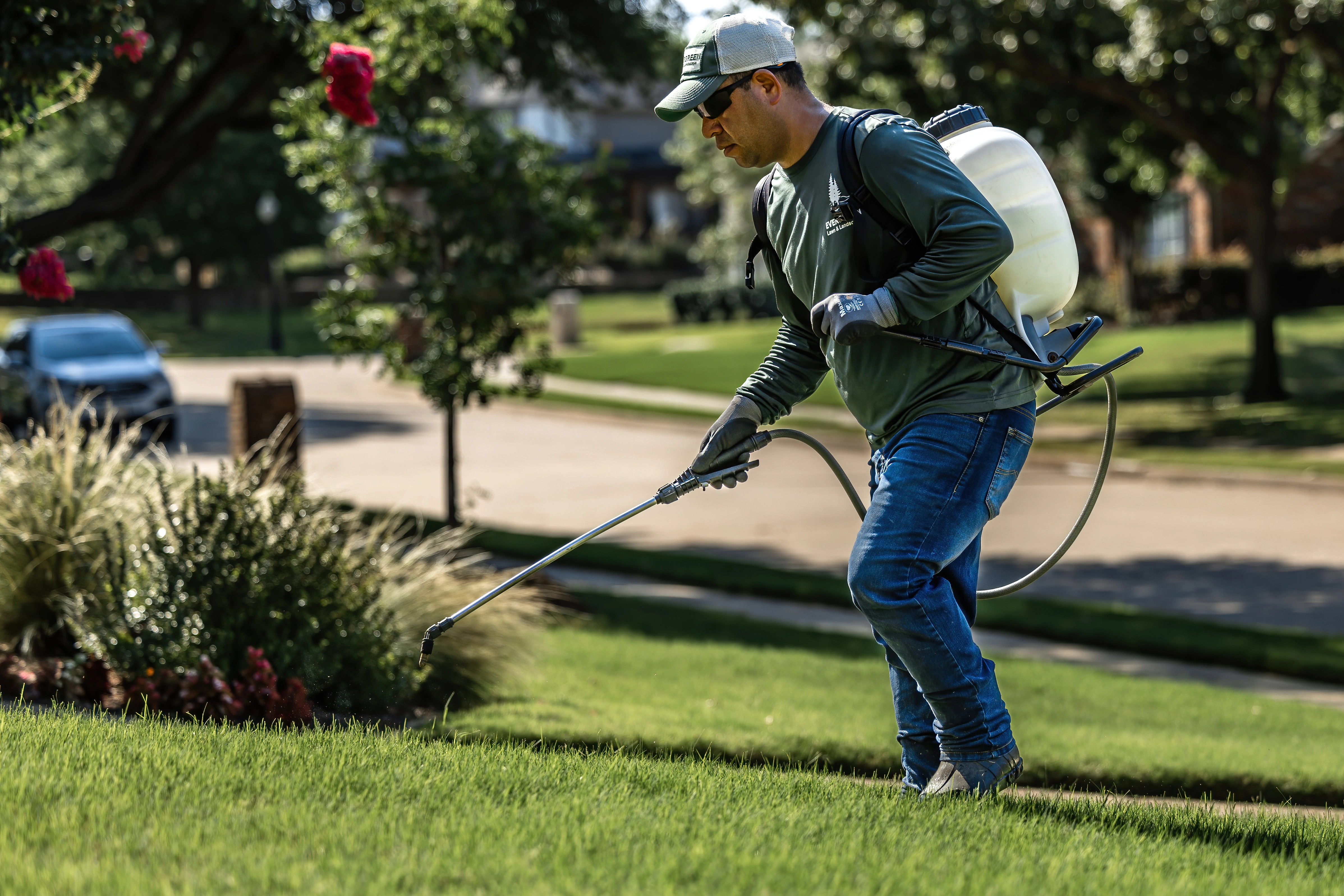 Keeping Your Lawn Looking Its Best: The Advantages of Pre-Emergent Weed Control