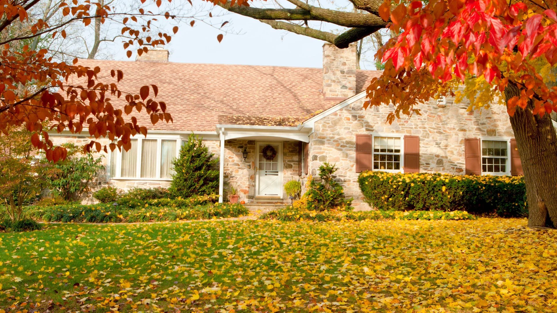 Should You Keep Fall Leaves on Your Lawn or Remove Them?