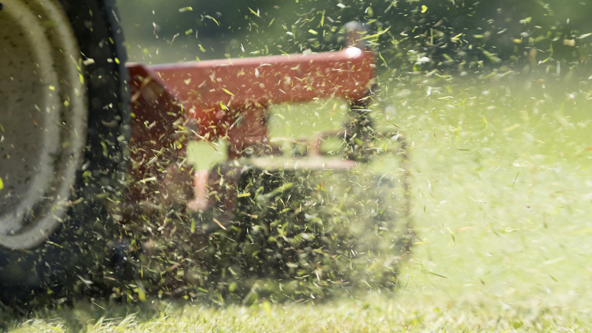 Uncovering the Truth About Mowing Your Lawn After It Rains