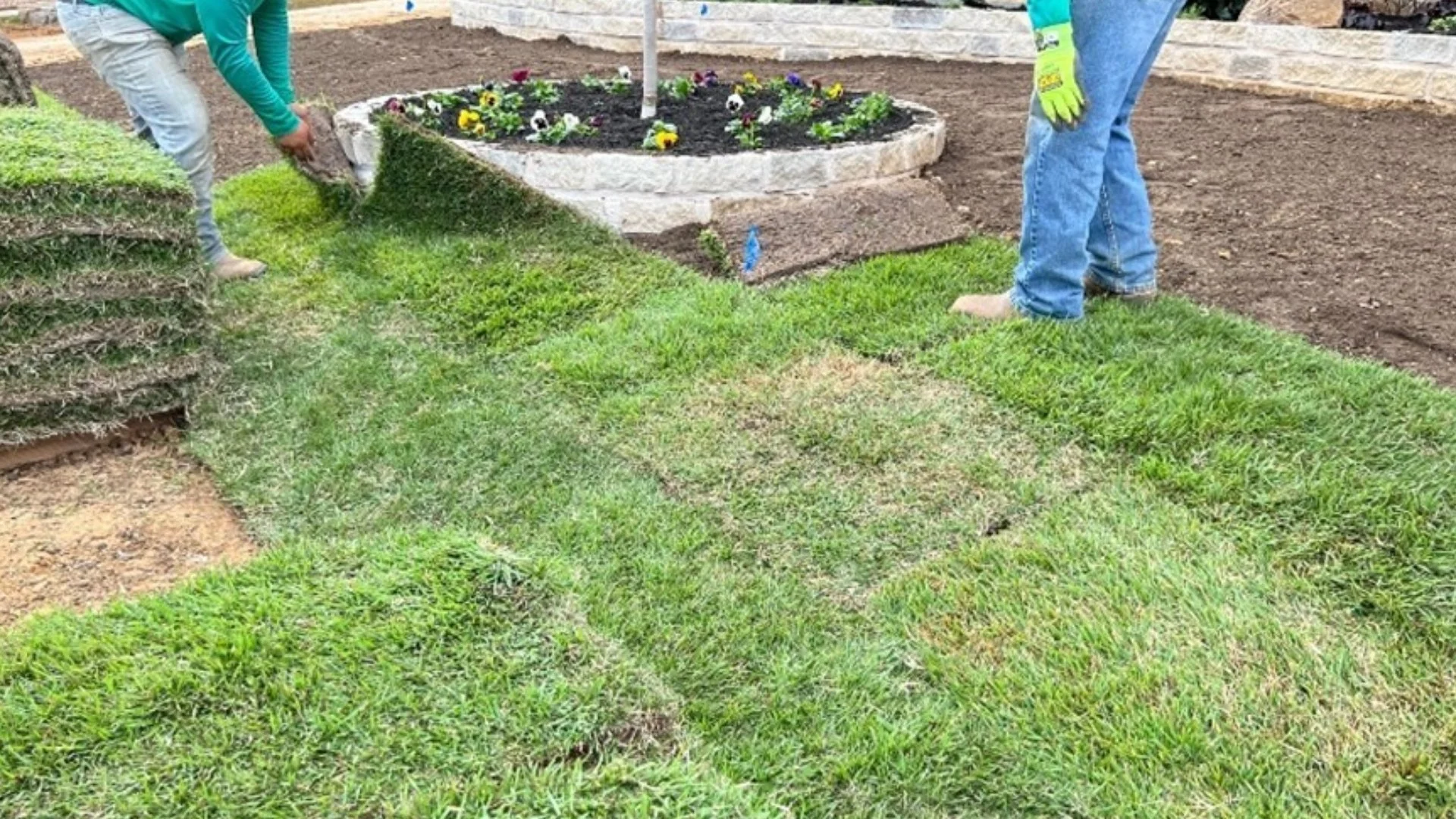 What Type of Sod Is Best for Lawns in Texas?