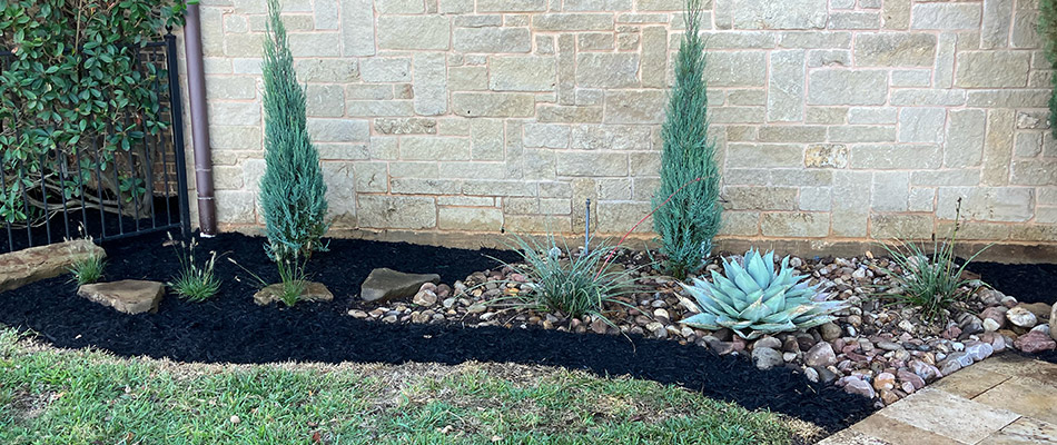 Mulch installed with plantings and rock in a landscape bed in Northlake, TX.