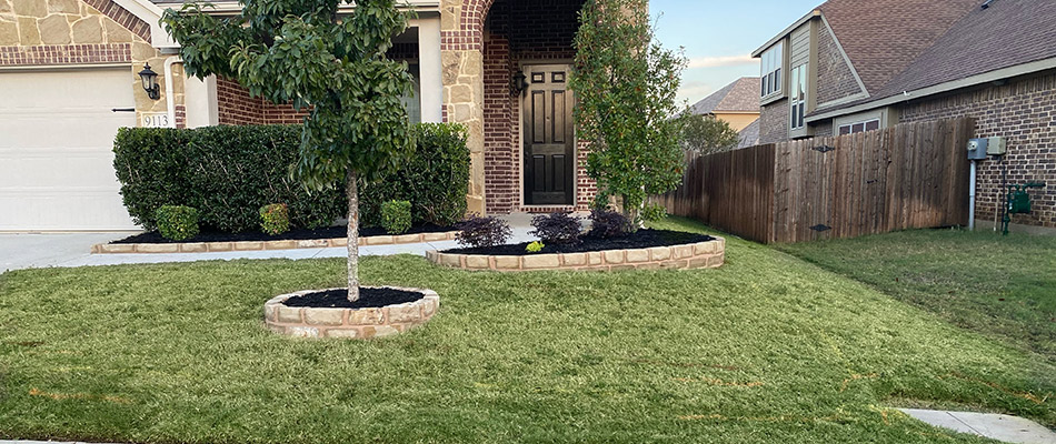 Maintained landscape for a home in Northlake, TX.