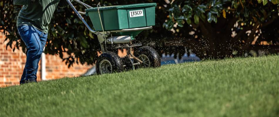 Aerator in a lawn in Northlake, TX.