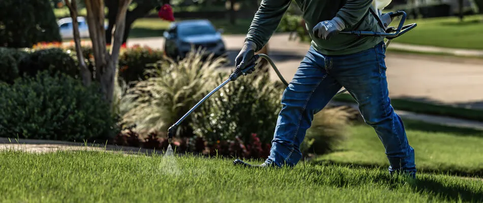 A technician applying post-emergent to a lawn in Argyle, TX.