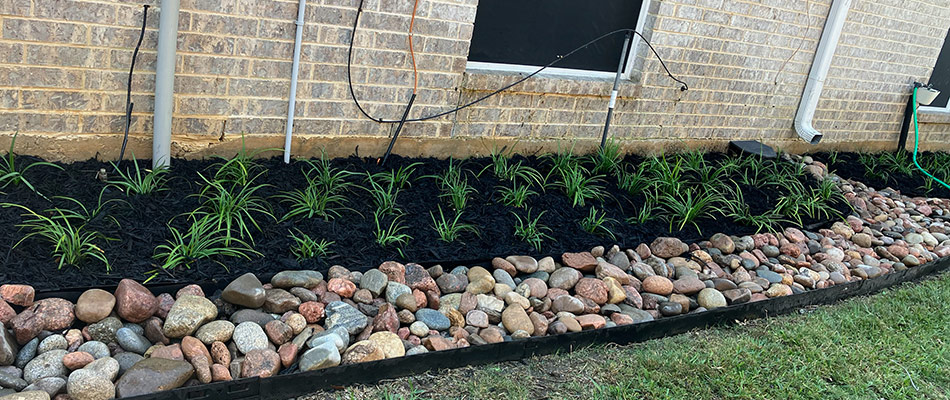 Rock and mulch added to a landscape bed in Denton, TX.
