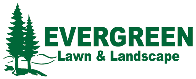 Evergreen Lawn & Landscape brand logo.