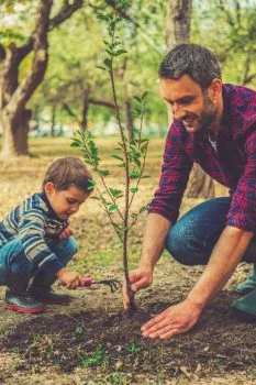 Father and son plant a tree.