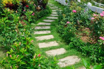 Garden walkway.