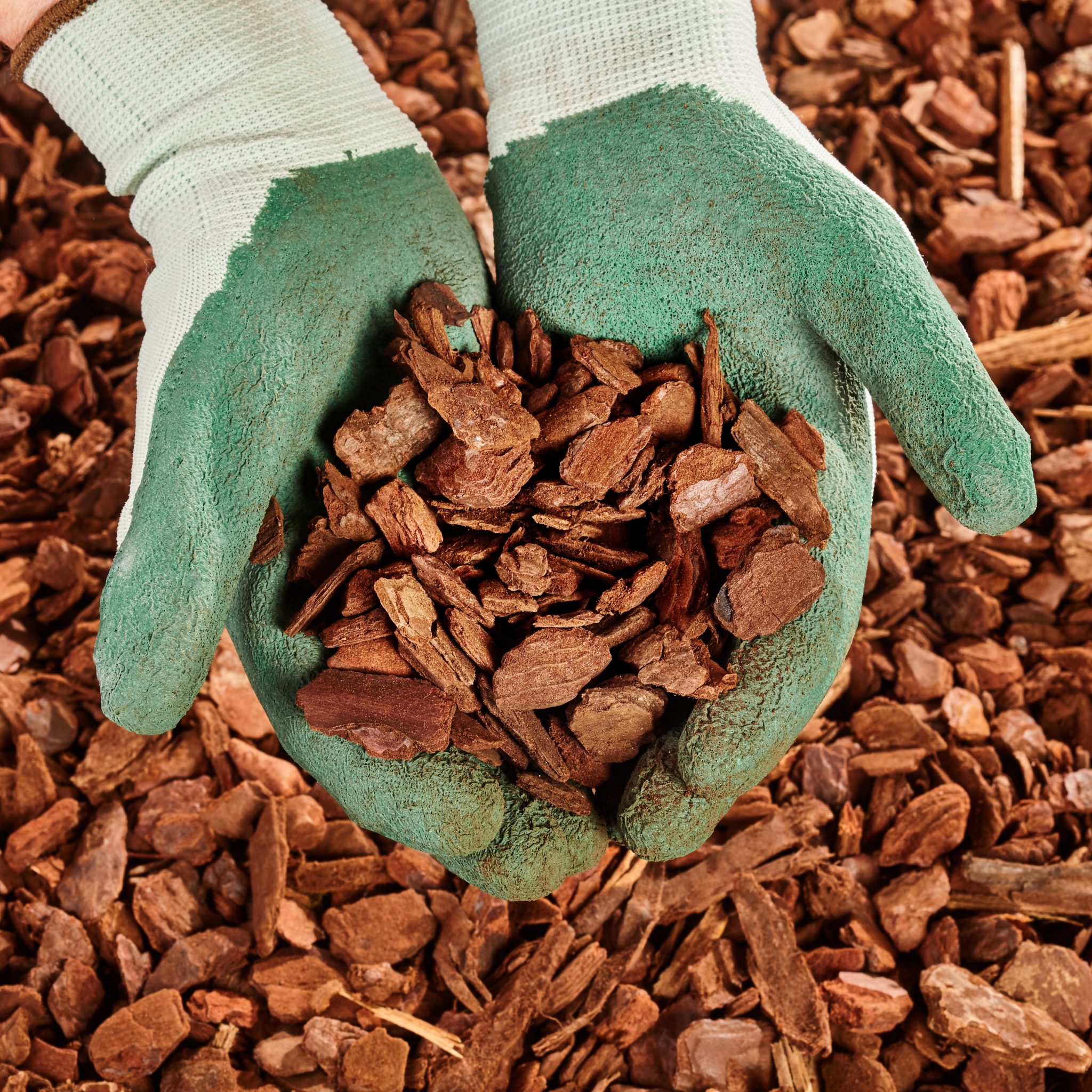 How Often Should I Replace Mulch?