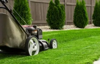 Lawn care Landscaping.